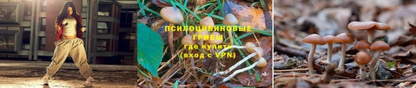 прущие крисы Алексин