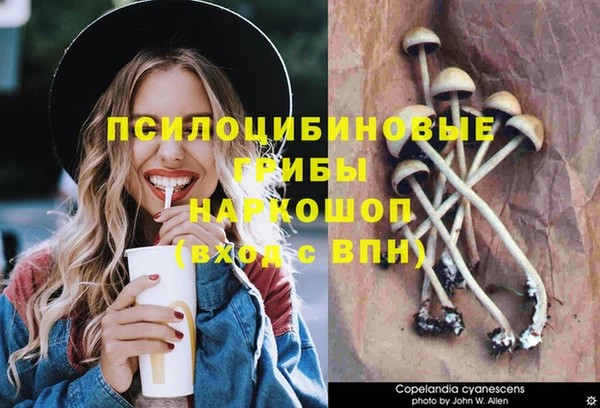 прущие крисы Алексин