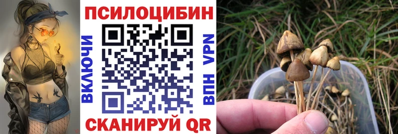 где найти   Дедовск  blacksprut зеркало  Галлюциногенные грибы прущие грибы 